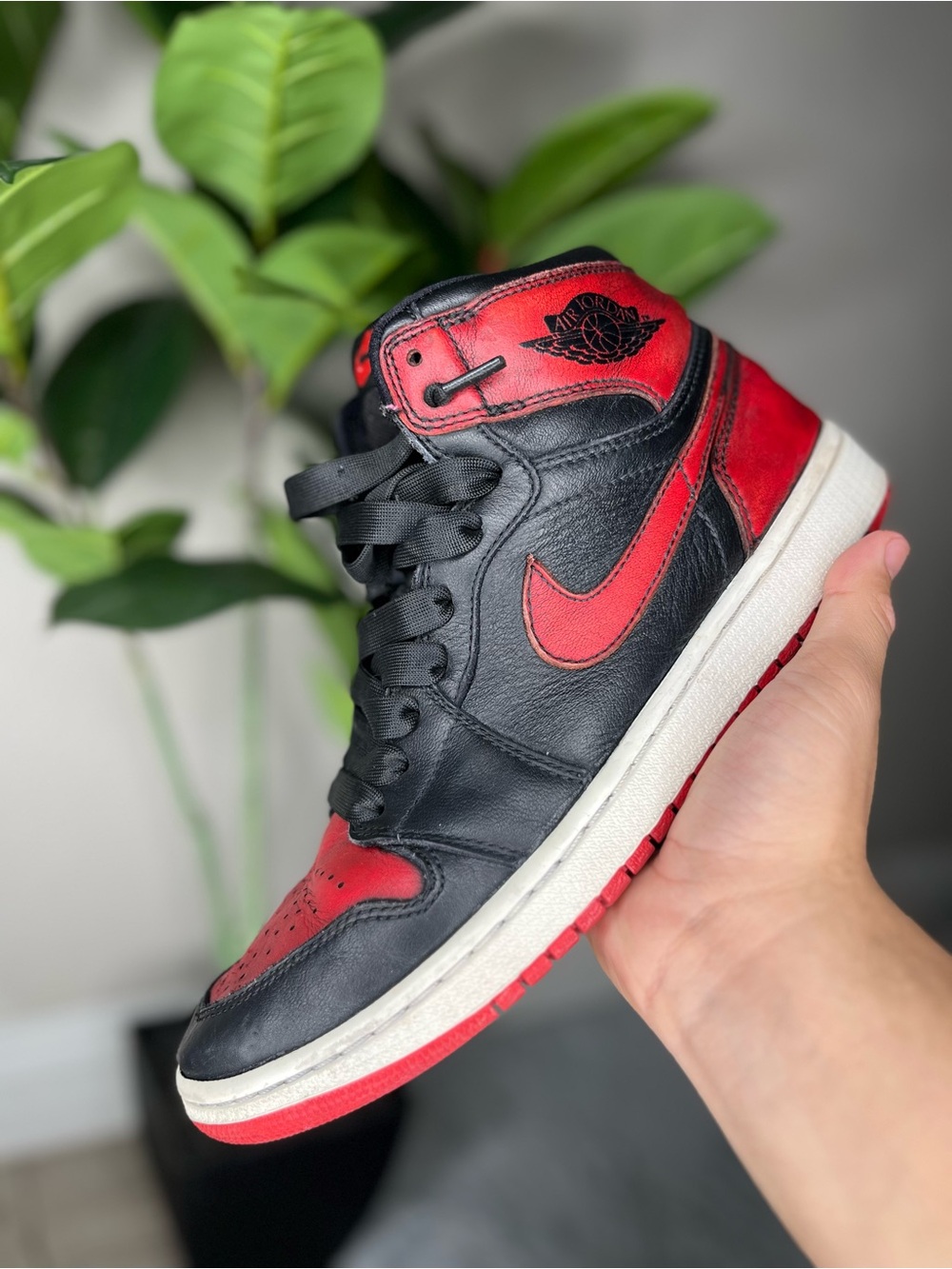2014 Jordan 1 bred